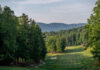 Champion Hills Rebuilds with Heart: A Story of Resilience and Restoration